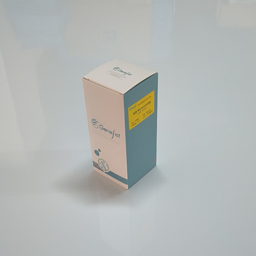 高效Western封閉液 高效Western封閉液