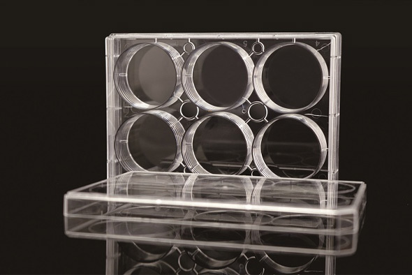 714011，細胞培養板，6孔Edge，平底 ，TC，滅菌