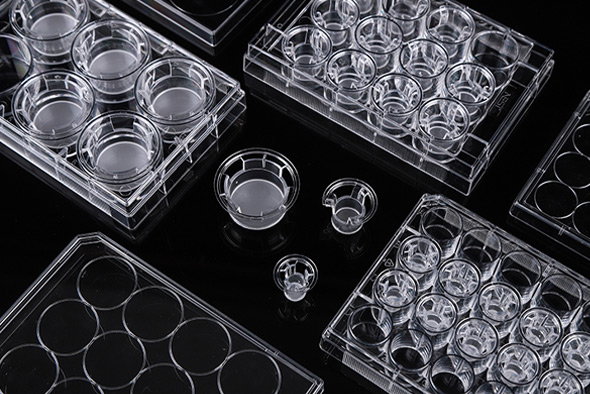 725101，24孔細胞小室,  0.4um孔徑PC（聚碳酸酯）膜,  帶蓋,  TC   