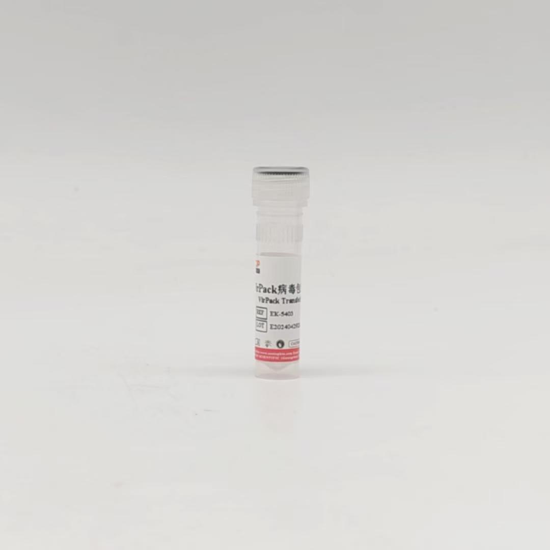 Vipack 病毒包裝轉(zhuǎn)染試劑